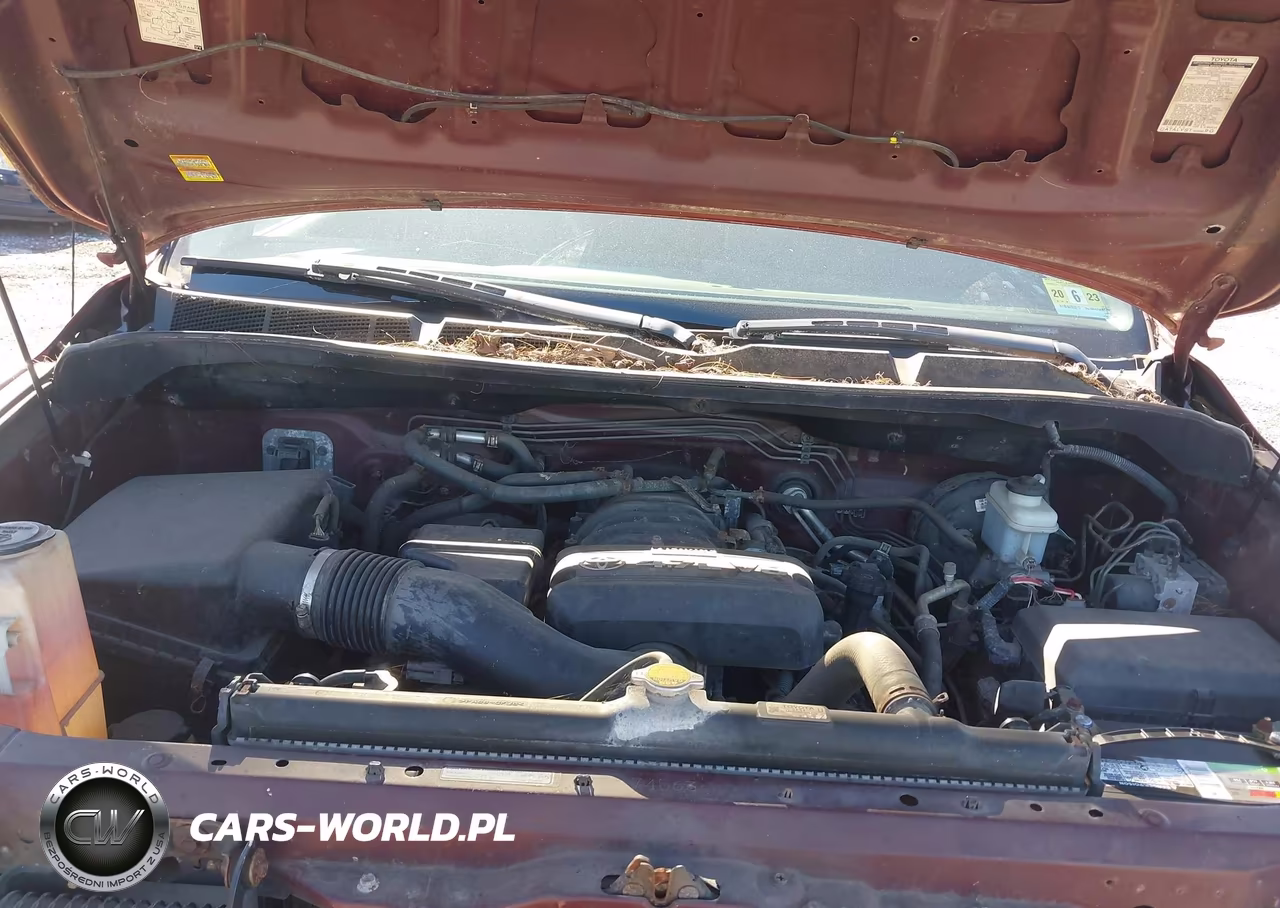 2007 Toyota Tundra Sr5 4.7L V8 VIN:5TBBT54197S454960 - 10