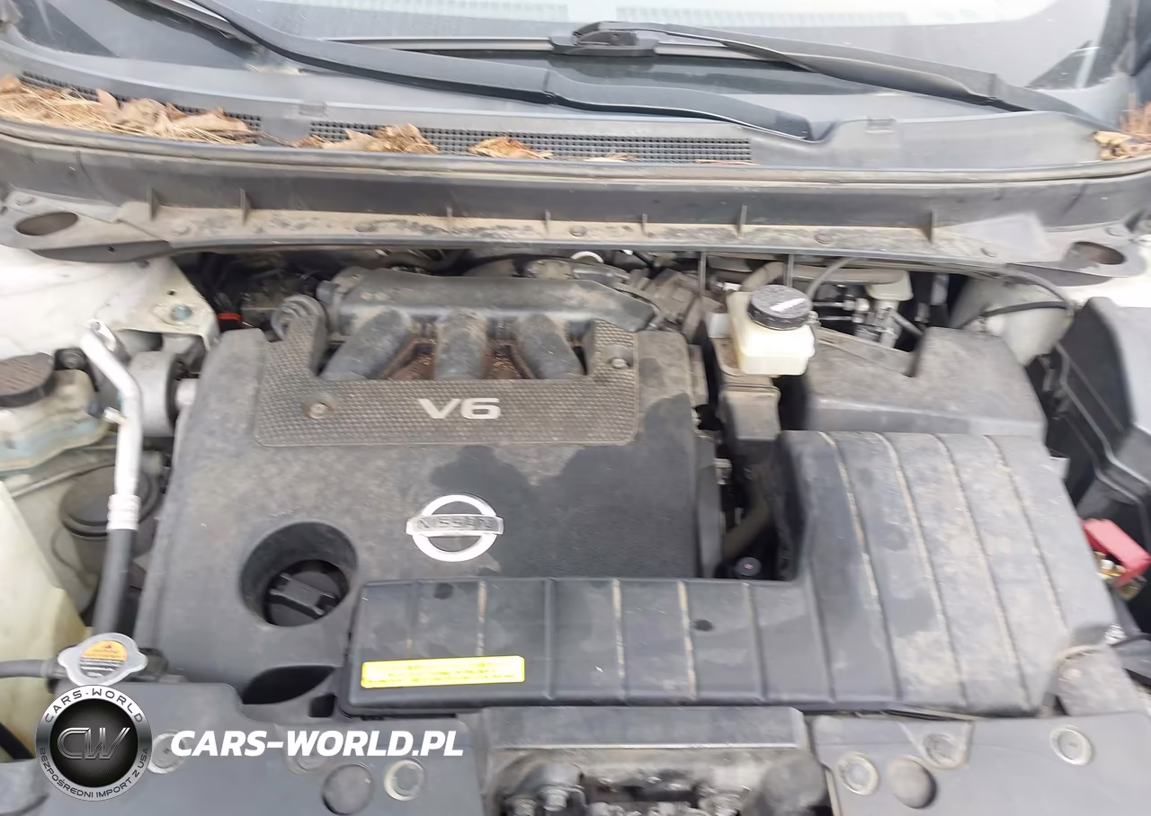 2010 Nissan Murano S VIN:JN8AZ1MW4AW109059 - 10