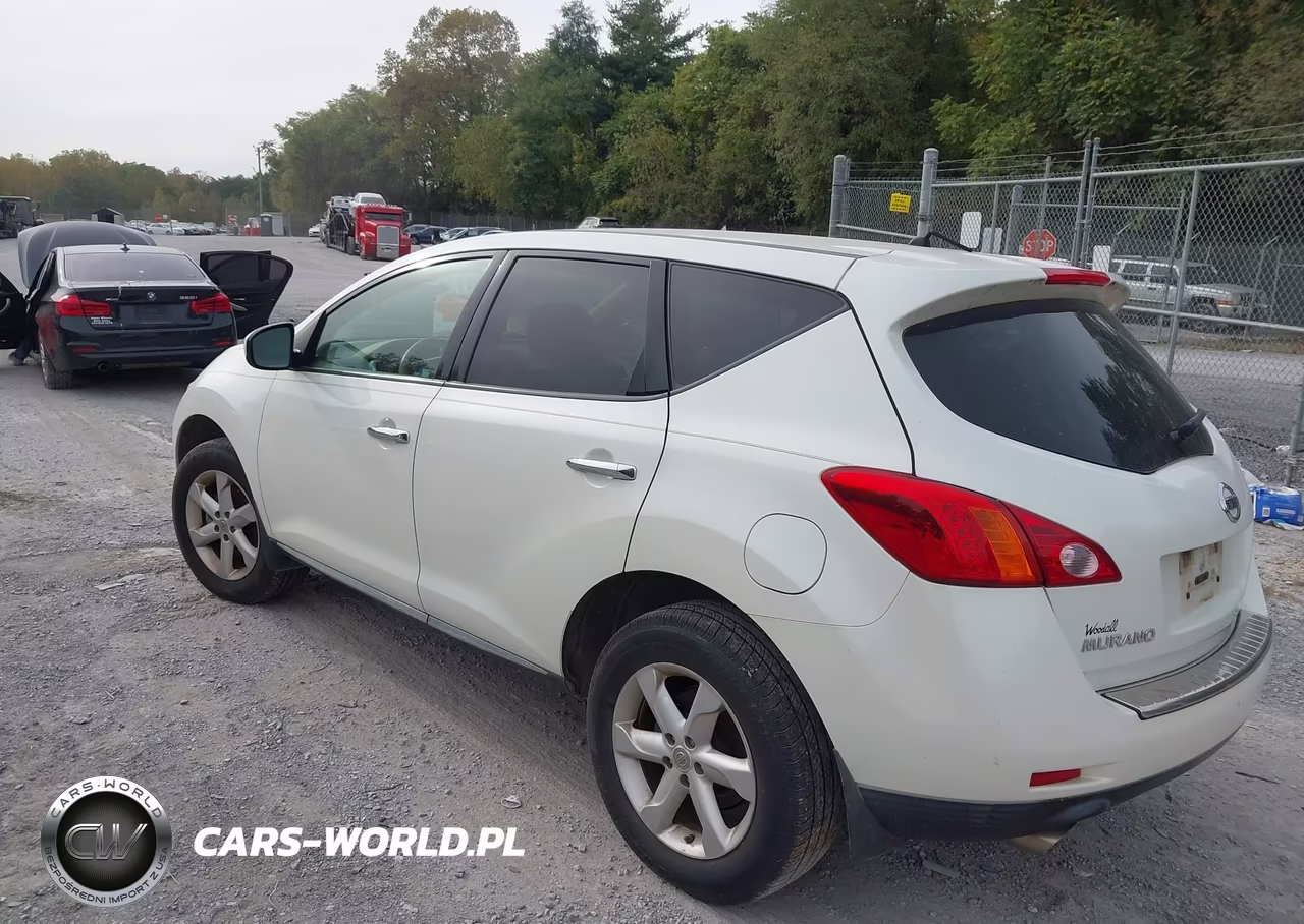 2010 Nissan Murano S VIN:JN8AZ1MW4AW109059 - 3