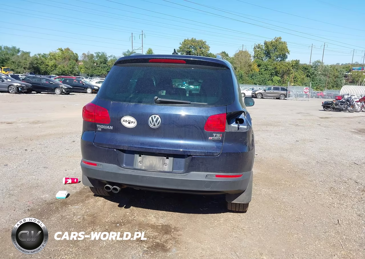 2016 Volkswagen Tiguan Se VIN:WVGBV7AX0GW578472 - 16