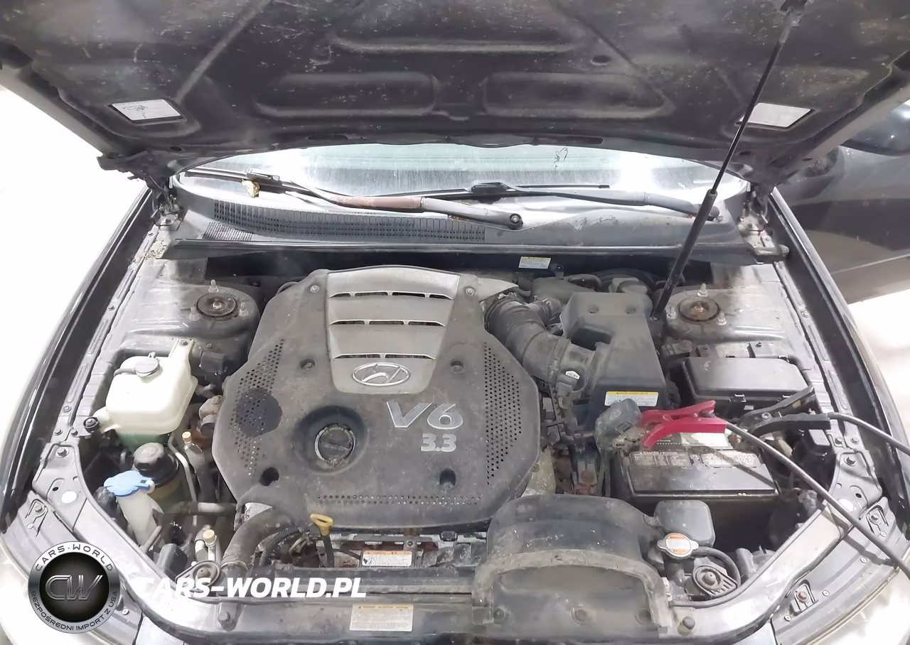 2006 Hyundai Sonata Gls V6-Lx V6 VIN:5NPEU46F76H147800 - 10