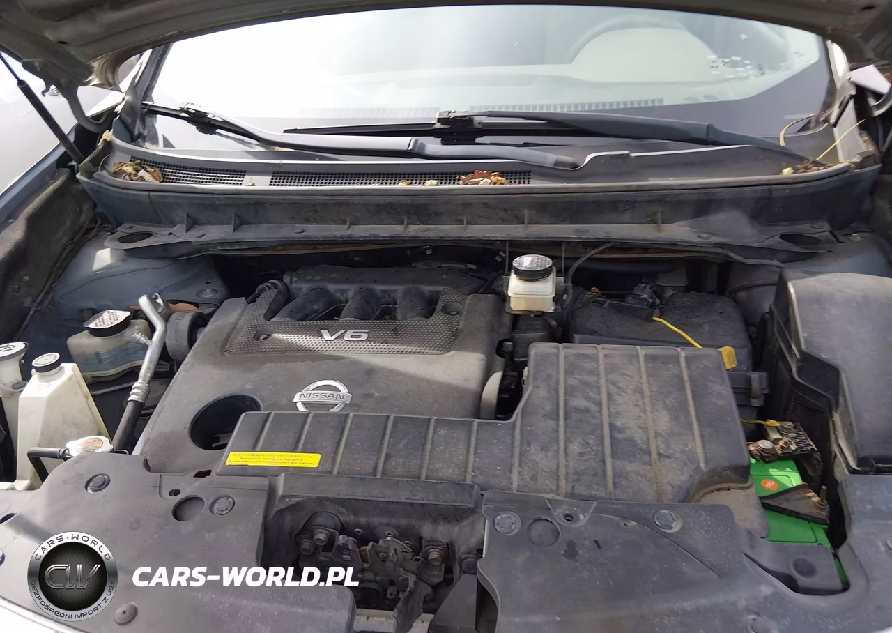 2011 Nissan Murano Sv VIN:JN8AZ1MW0BW163976 - 10