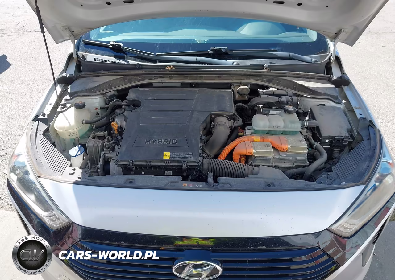2019 Hyundai Ioniq Hybrid Blue VIN:KMHC65LC1KU156408 - 10