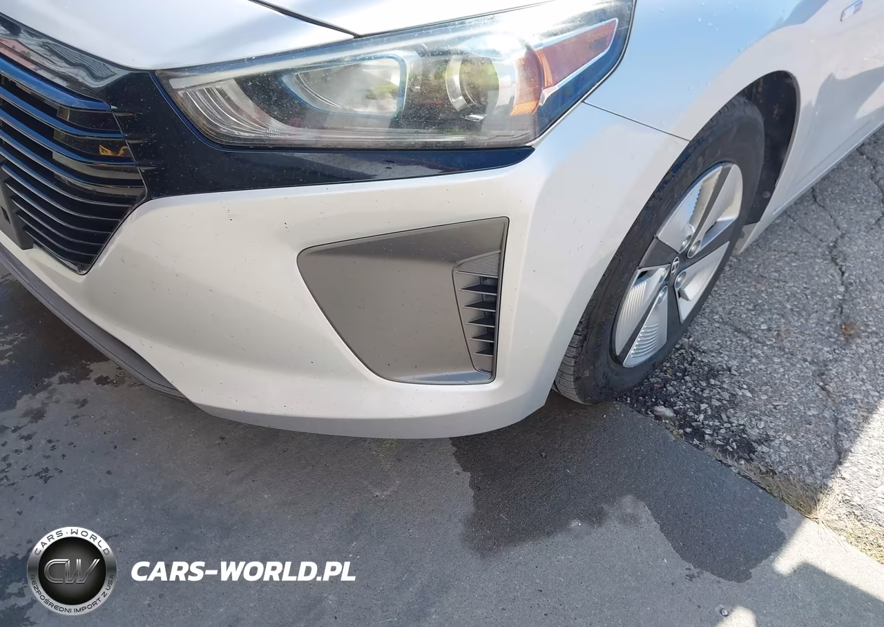 2019 Hyundai Ioniq Hybrid Blue VIN:KMHC65LC1KU156408 - 13