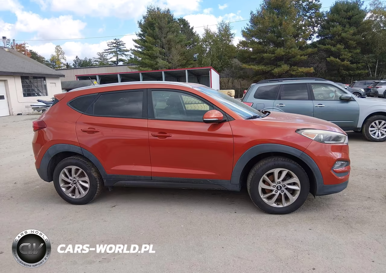 2016 Hyundai Tucson Eco VIN:KM8J3CA29GU094732 - 13