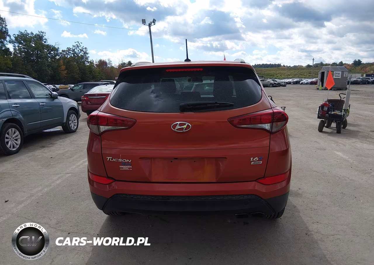 2016 Hyundai Tucson Eco VIN:KM8J3CA29GU094732 - 16
