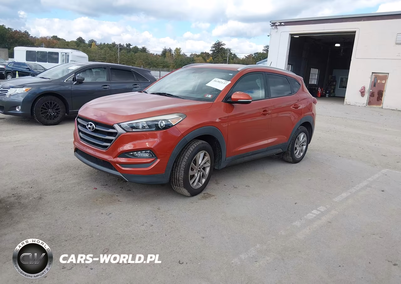 2016 Hyundai Tucson Eco VIN:KM8J3CA29GU094732 - 2