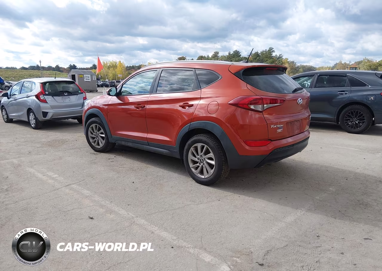 2016 Hyundai Tucson Eco VIN:KM8J3CA29GU094732 - 3