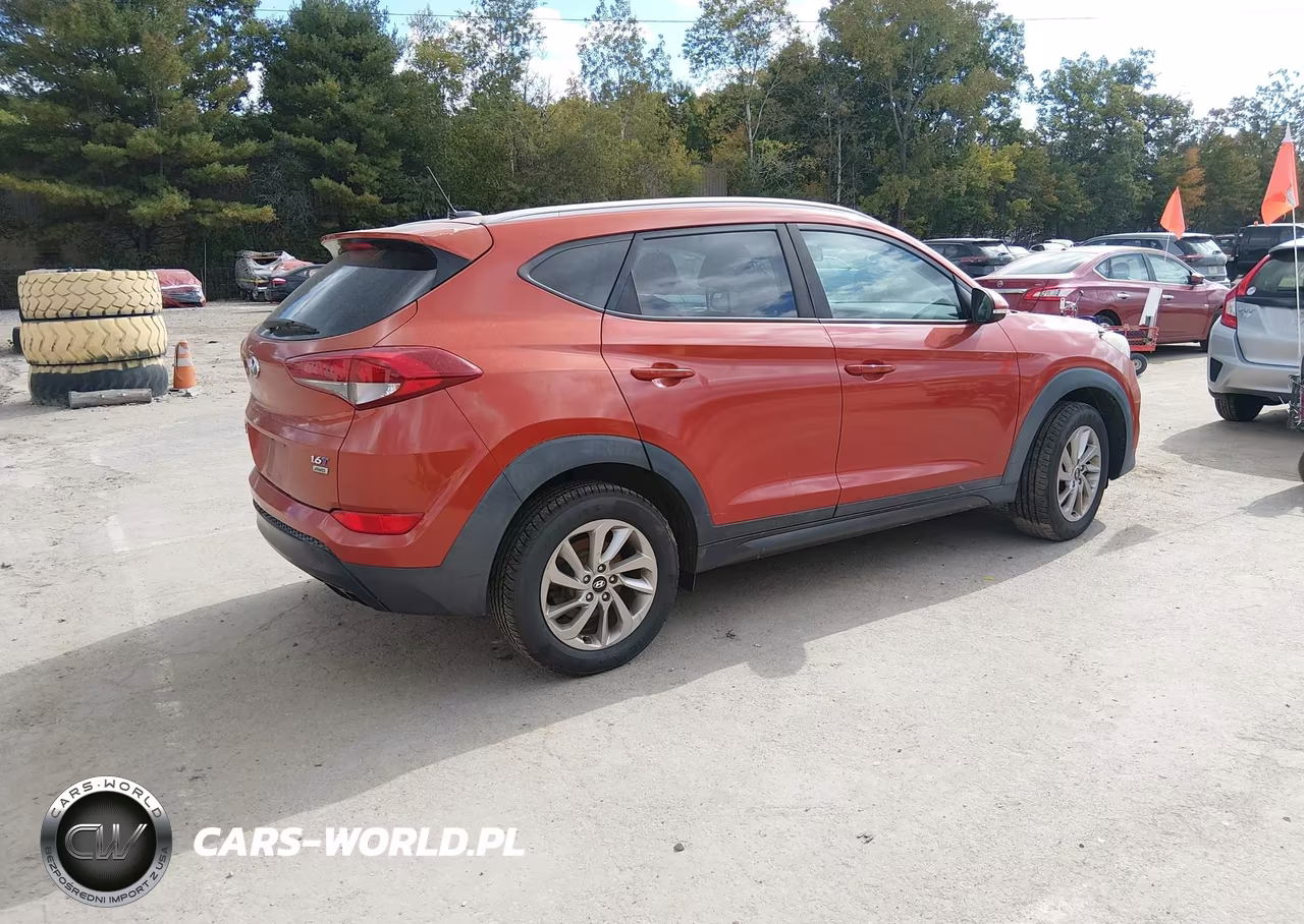 2016 Hyundai Tucson Eco VIN:KM8J3CA29GU094732 - 4