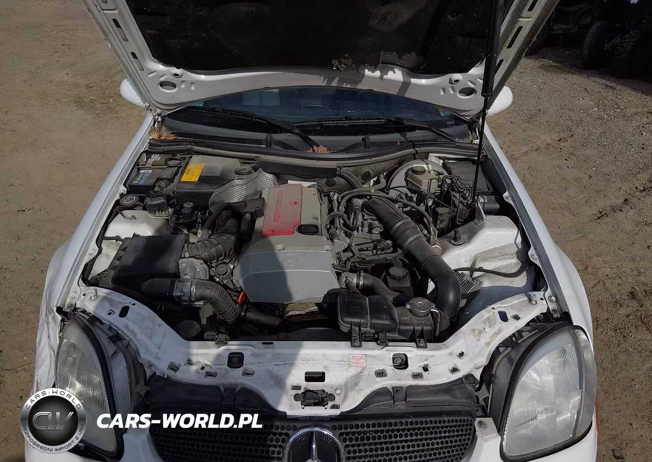 1998 Mercedes-Benz Slk 230 VIN:WDBKK47F0WF065780 - 10