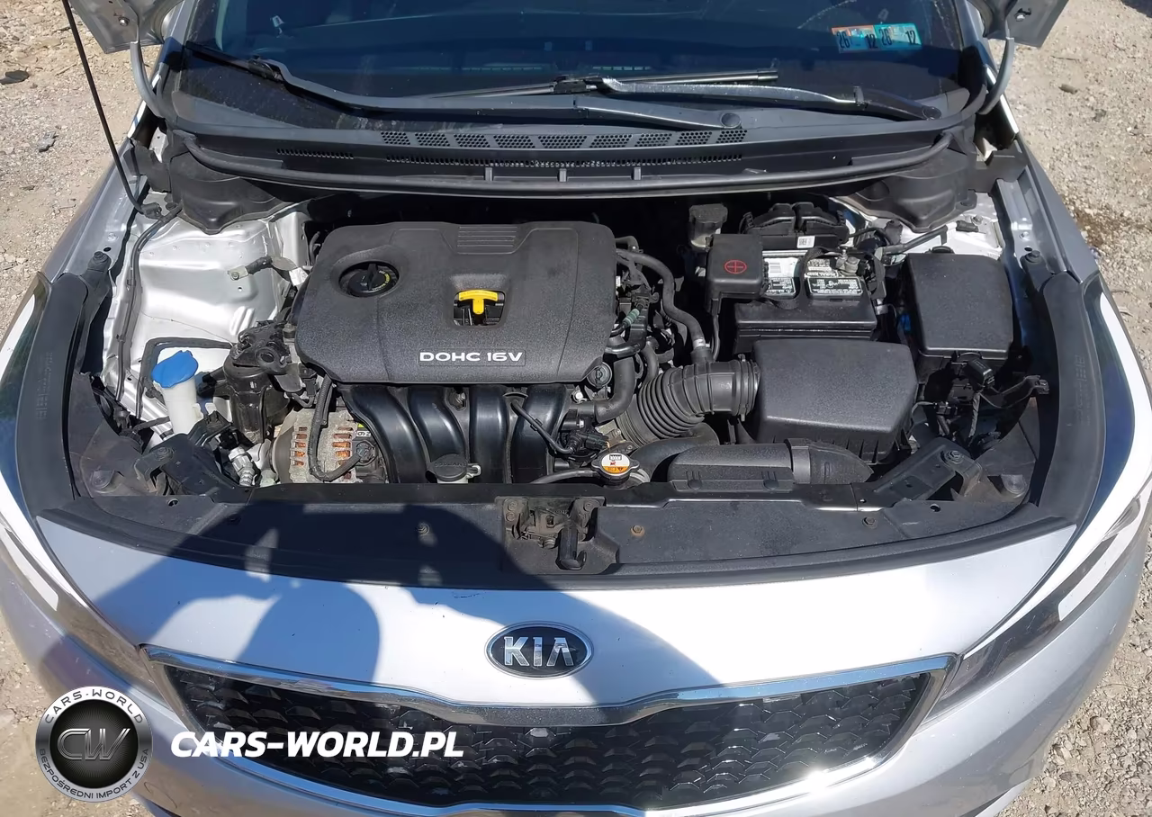 2018 Kia Forte Lx VIN:3KPFK4A72JE250887 - 10