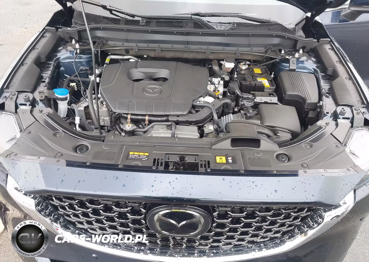 2025 Mazda Cx-5 2.5 S Premium Plus VIN:JM3KFBEM8S0718923 - 10