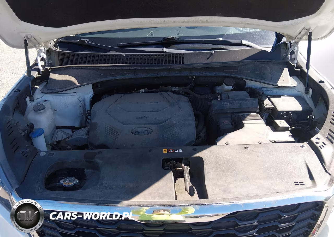 2019 Kia Sorento 3.3L Lx VIN:5XYPGDA58KG490390 - 10