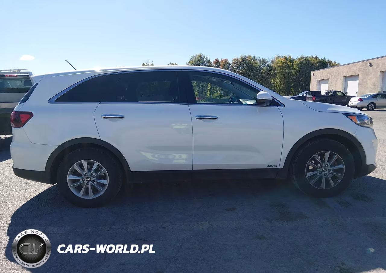 2019 Kia Sorento 3.3L Lx VIN:5XYPGDA58KG490390 - 13