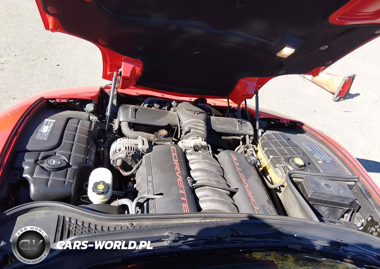 2003 Chevrolet Corvette VIN:1G1YY22GX35129140 - 10