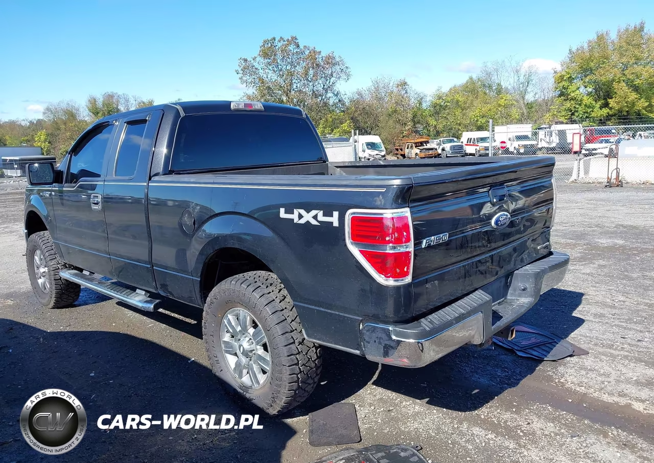 2012 Ford F-150 Xlt VIN:1FTFX1EFXCFB69940 - 3