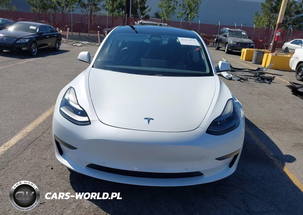 2021 Tesla Model 3 Standard Range Plus Rear-Wheel Drive VIN:5YJ3E1EA1MF013708 - 13