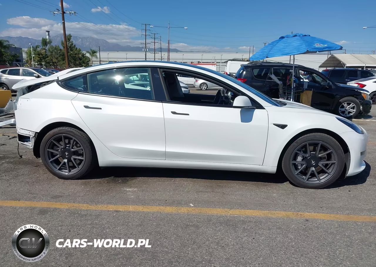 2021 Tesla Model 3 Standard Range Plus Rear-Wheel Drive VIN:5YJ3E1EA1MF013708 - 14
