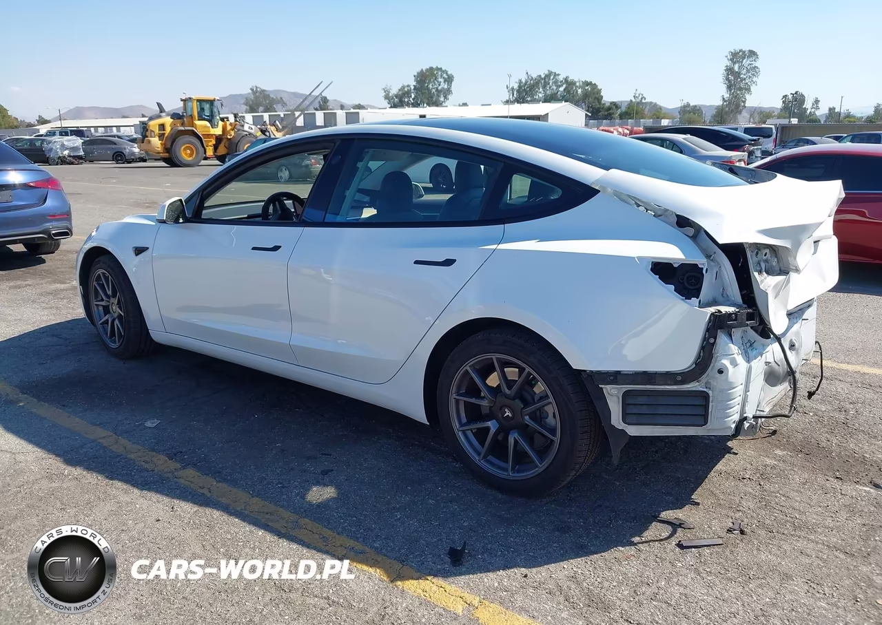 2021 Tesla Model 3 Standard Range Plus Rear-Wheel Drive VIN:5YJ3E1EA1MF013708 - 3