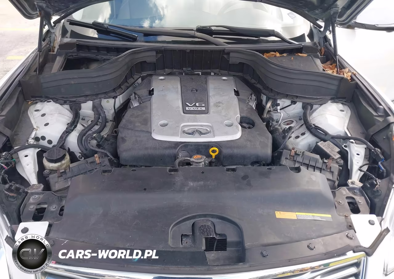 2017 Infiniti Qx50 VIN:JN1BJ0RR7HM402998 - 10