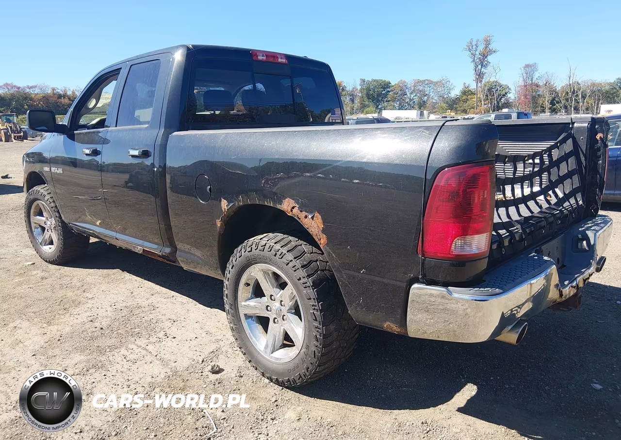2010 Dodge Ram 1500 Slt-Sport-Trx VIN:1D7RV1GT0AS135151 - 3