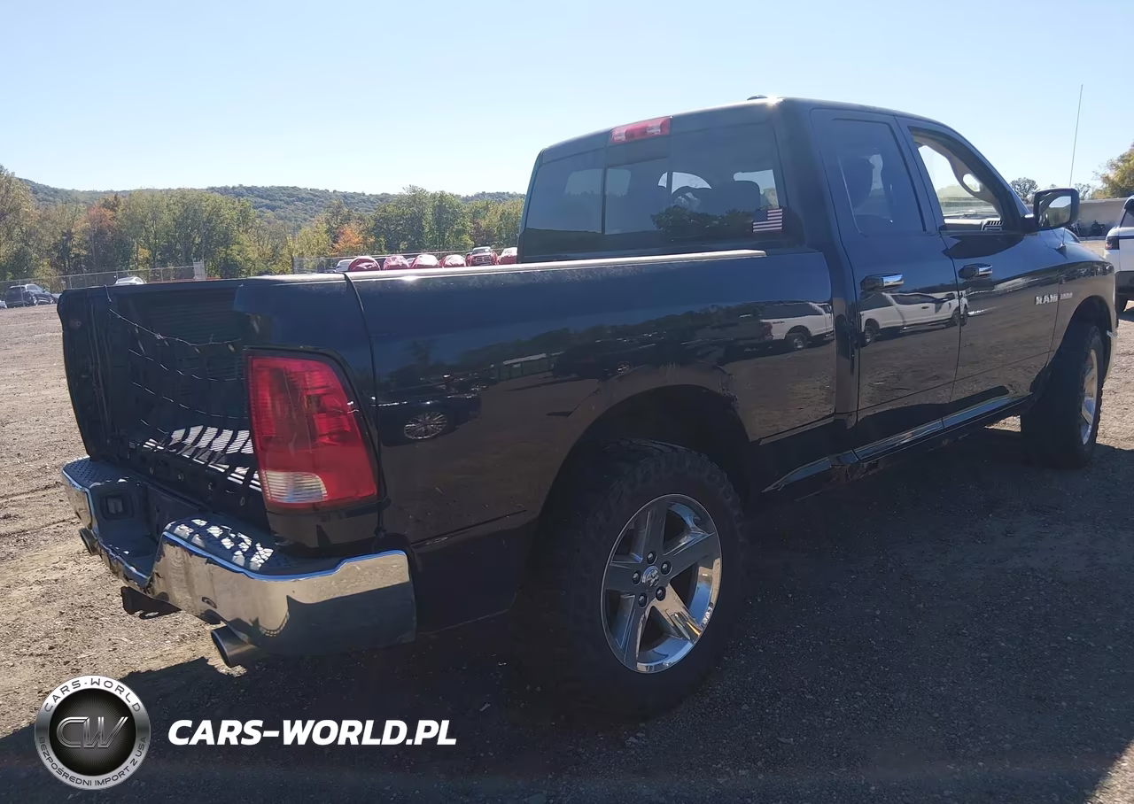 2010 Dodge Ram 1500 Slt-Sport-Trx VIN:1D7RV1GT0AS135151 - 4