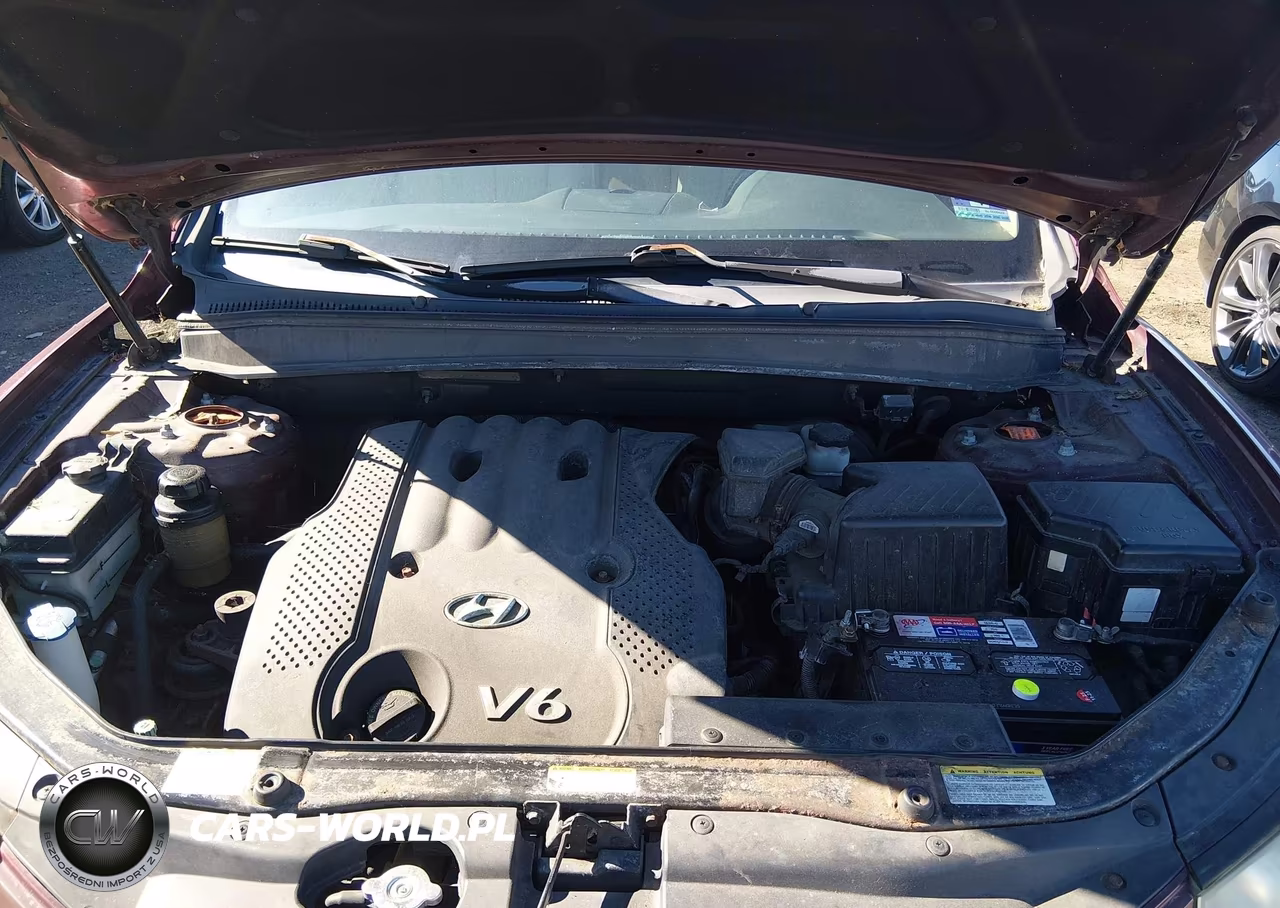 2007 Hyundai Santa Fe Gls VIN:5NMSG13D77H074339 - 10