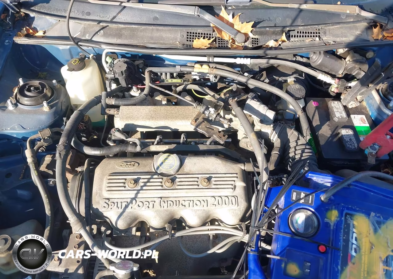 1999 Ford Escort Lx VIN:1FAFP10P6XW229708 - 10