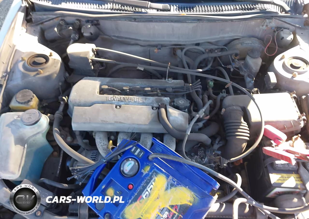 1999 Toyota Corolla Ve-Ce-Le VIN:2T1BR12E2XC200133 - 10