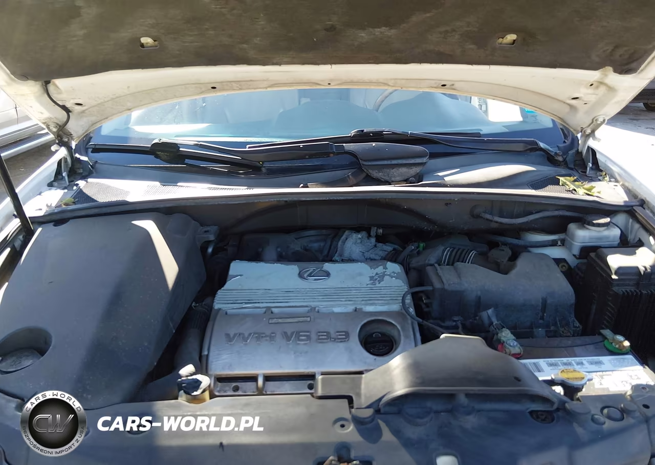 2005 Lexus Rx 330 VIN:2T2HA31U35C059300 - 10