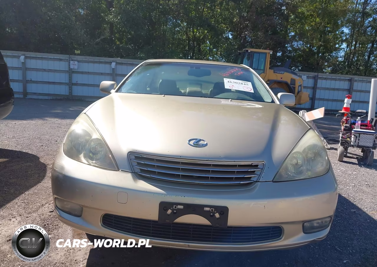 2004 Lexus Es 330 VIN:JTHBA30GX40002458 - 6