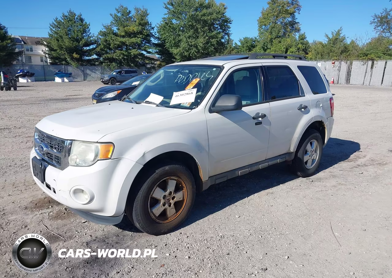 2011 Ford Escape Xlt VIN:1FMCU0D73BKA18732 - 2