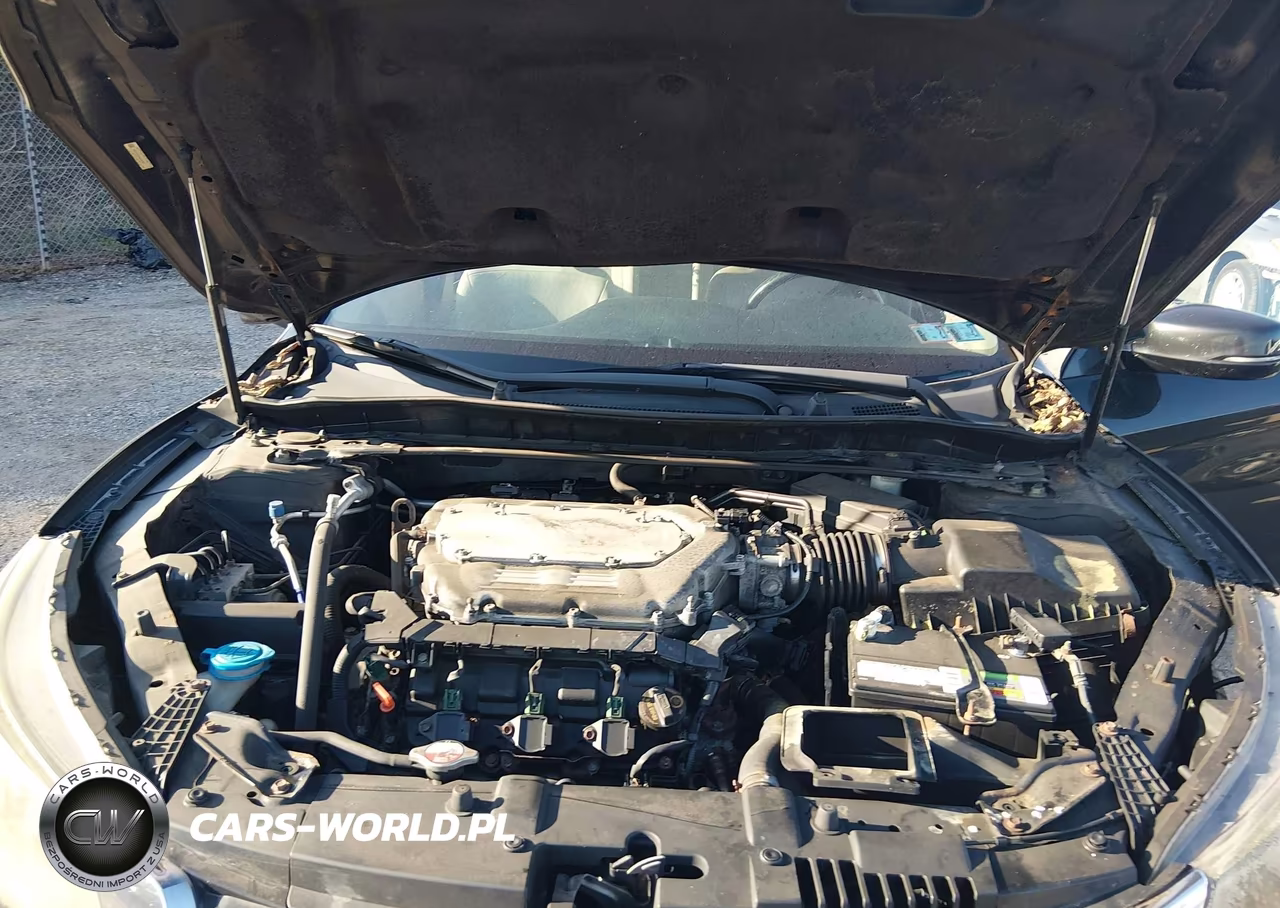 2013 Honda Accord Ex-L V-6 VIN:1HGCR3F86DA048699 - 10