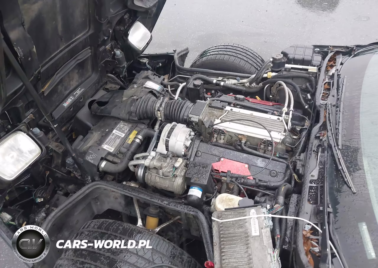 1994 Chevrolet Corvette VIN:1G1YY22PXR5111066 - 10
