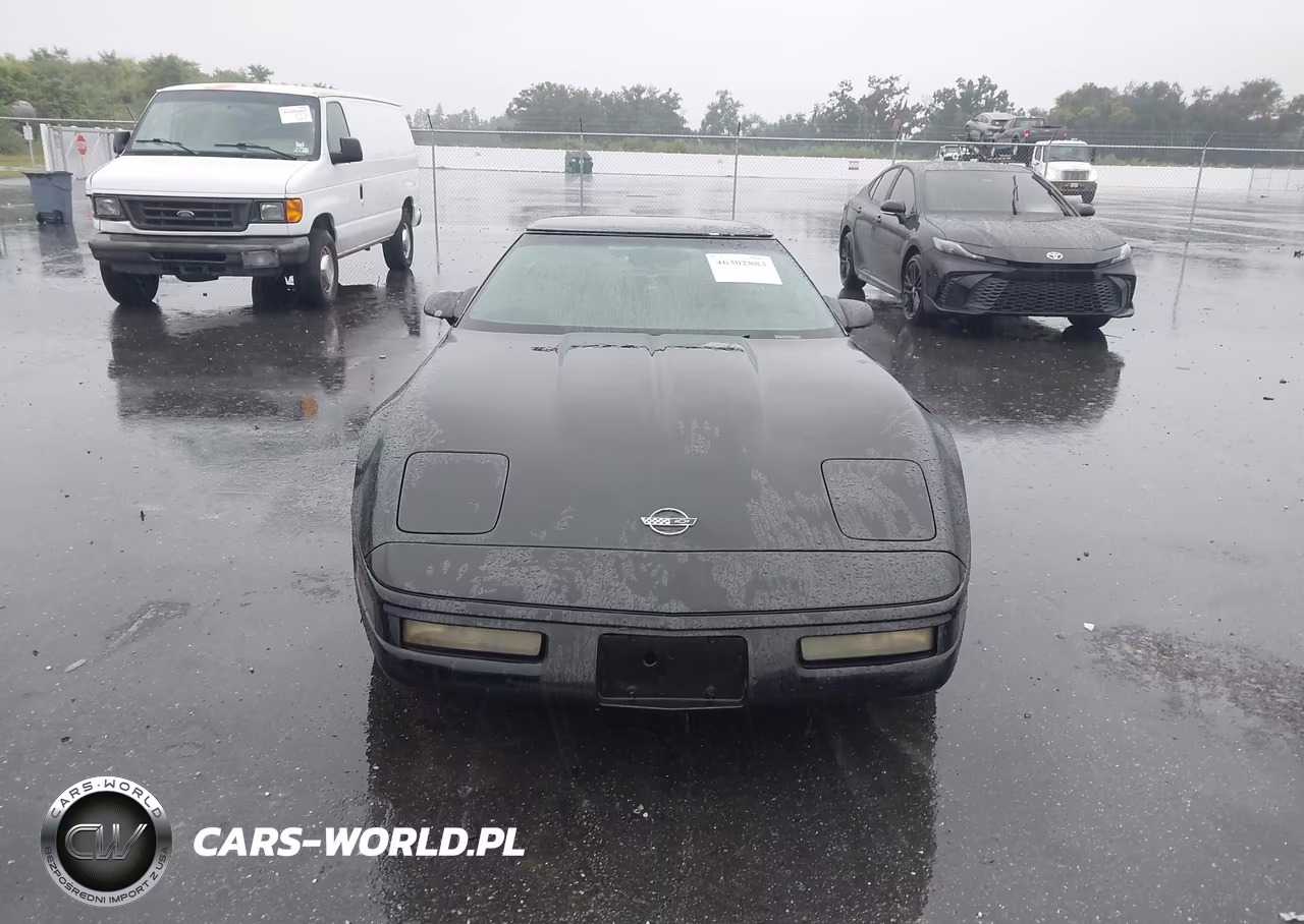 1994 Chevrolet Corvette VIN:1G1YY22PXR5111066 - 12