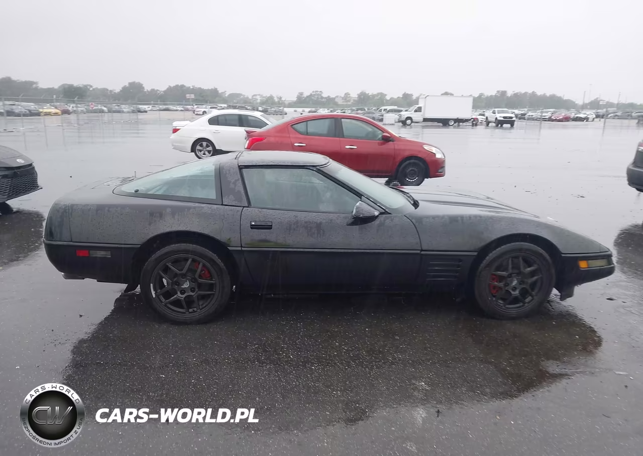 1994 Chevrolet Corvette VIN:1G1YY22PXR5111066 - 13