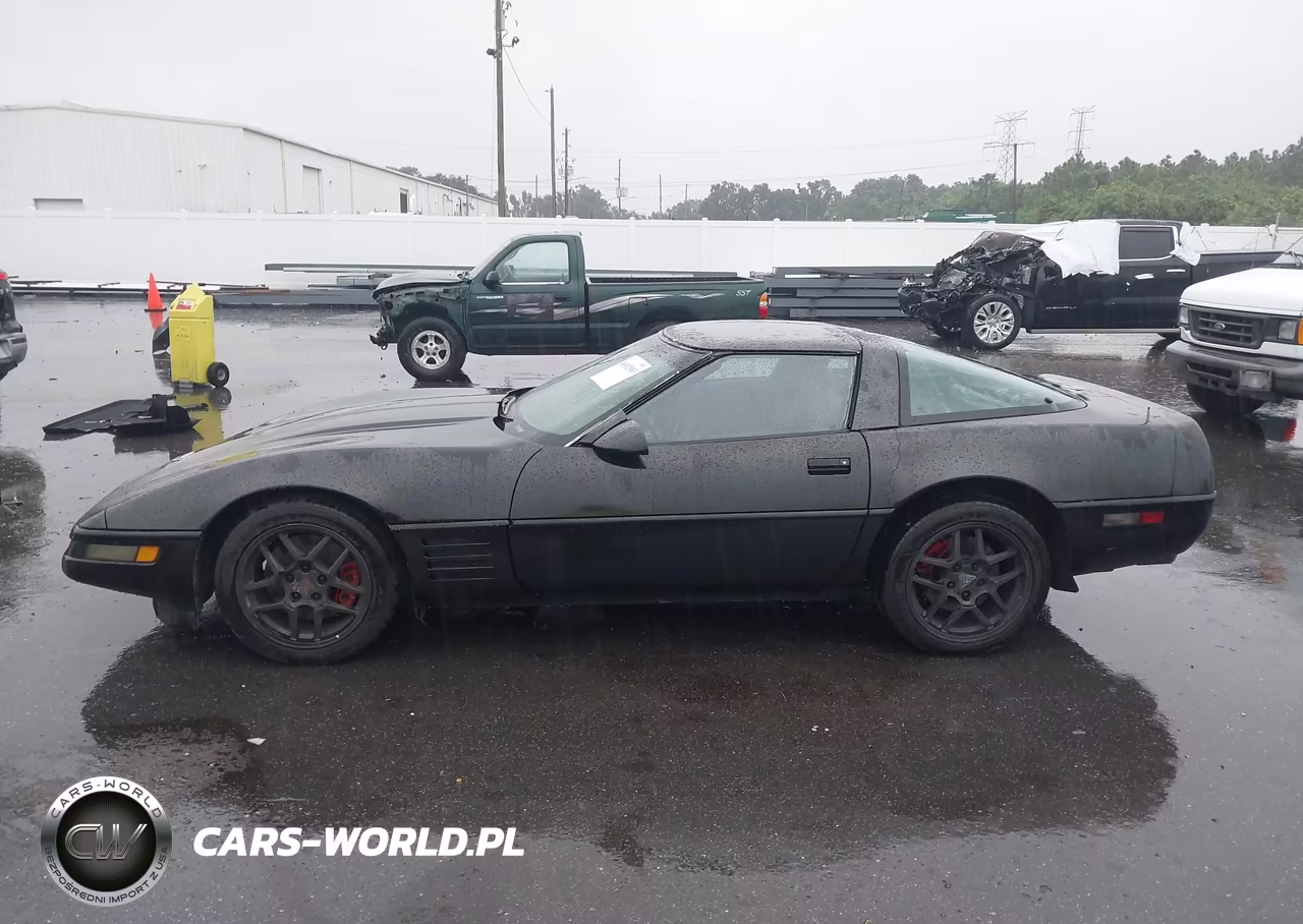 1994 Chevrolet Corvette VIN:1G1YY22PXR5111066 - 14