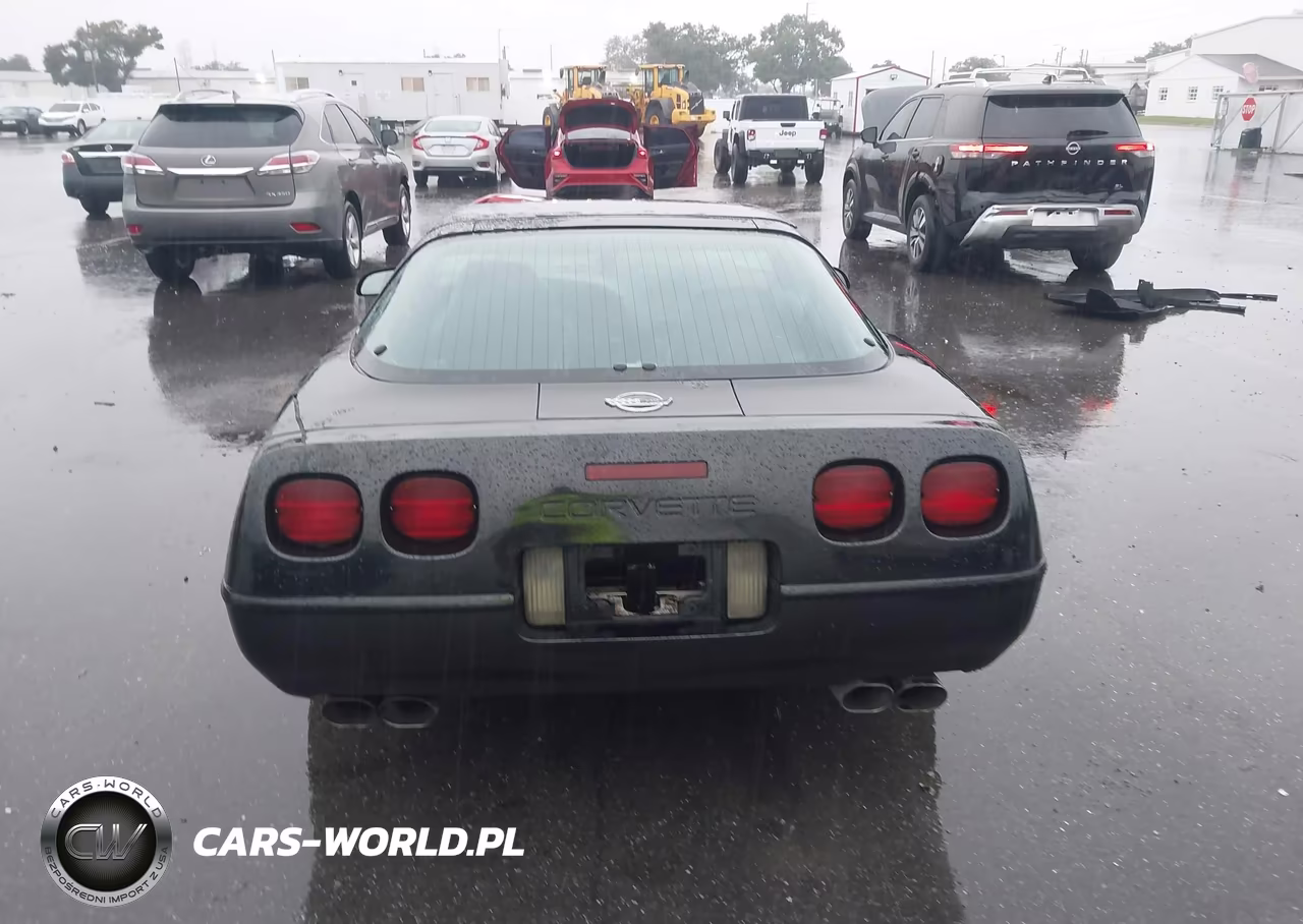 1994 Chevrolet Corvette VIN:1G1YY22PXR5111066 - 16