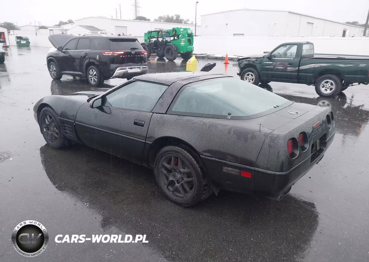 1994 Chevrolet Corvette VIN:1G1YY22PXR5111066 - 3