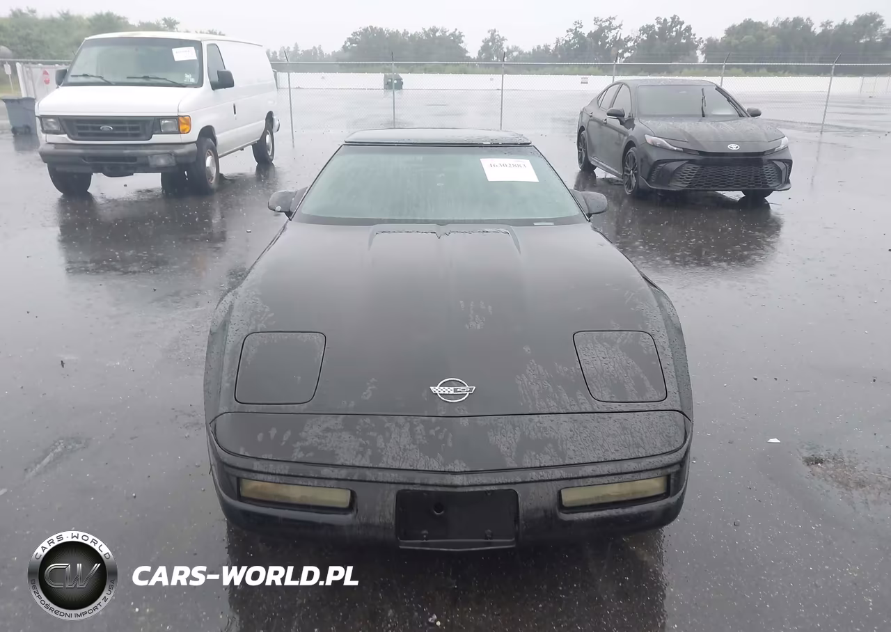 1994 Chevrolet Corvette VIN:1G1YY22PXR5111066 - 6