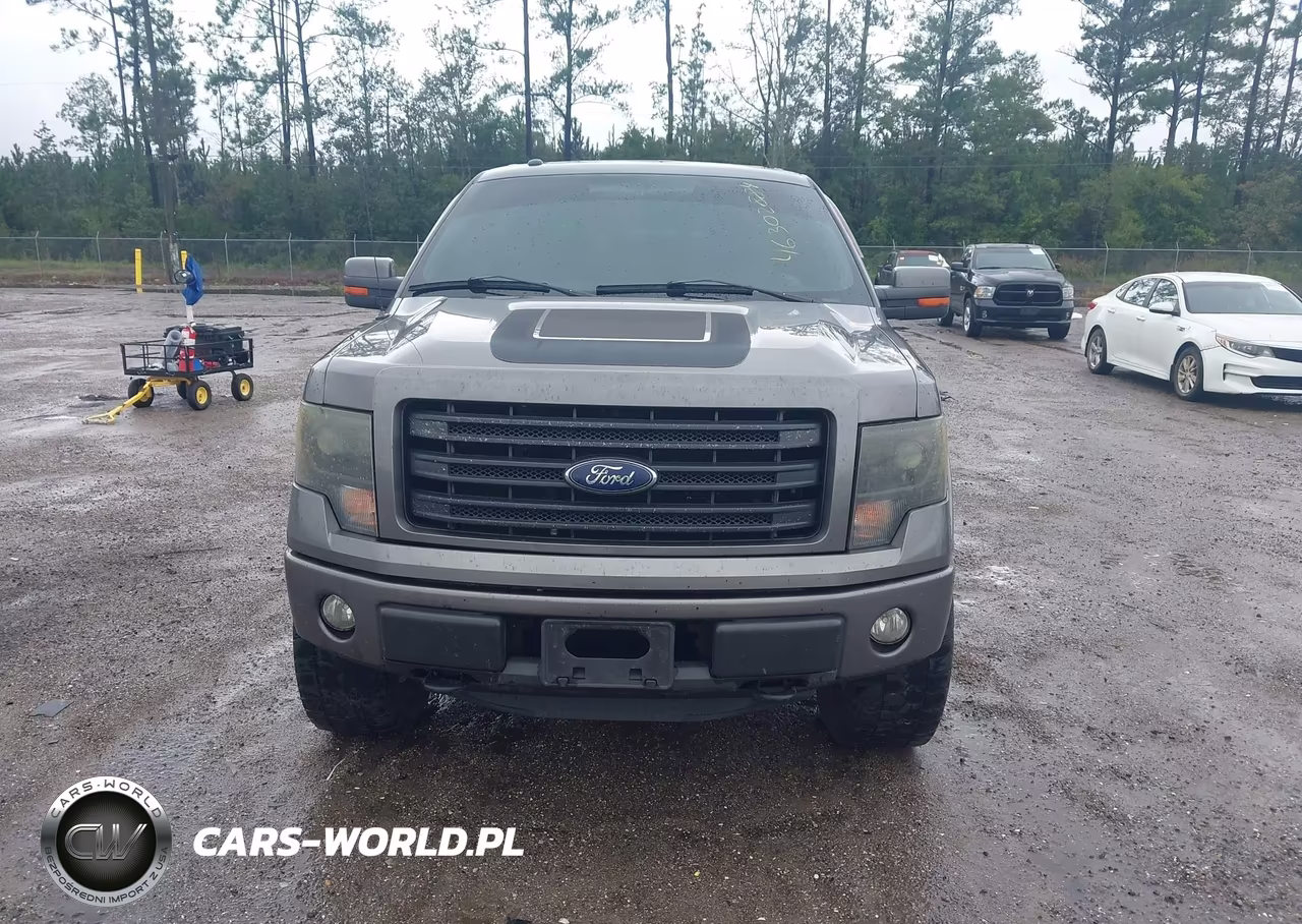 2014 Ford F-150 Fx4 VIN:1FTFW1EF1EFC48368 - 13