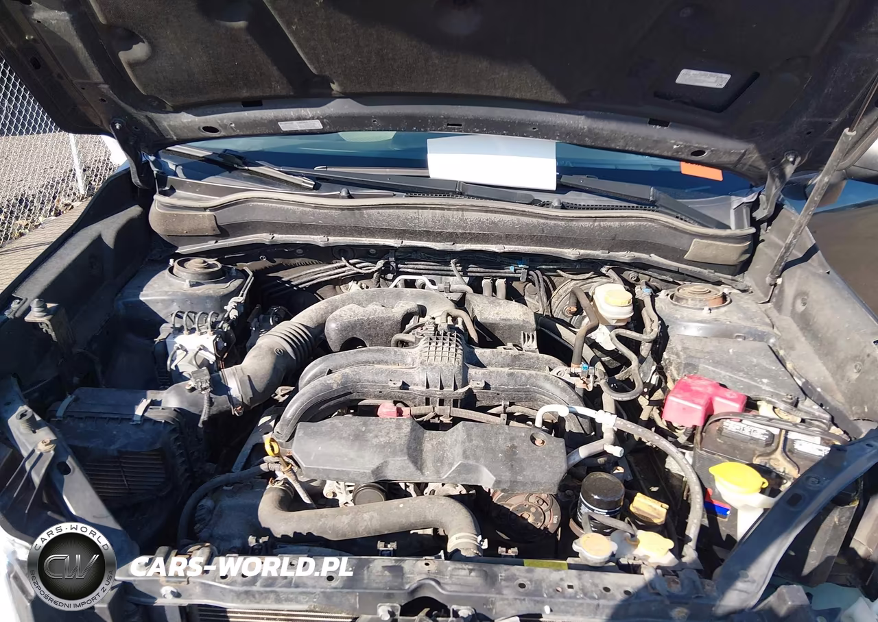 2016 Subaru Forester 2.5I VIN:JF2SJABC6GH491481 - 10