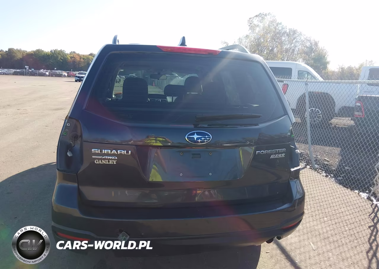 2016 Subaru Forester 2.5I VIN:JF2SJABC6GH491481 - 17