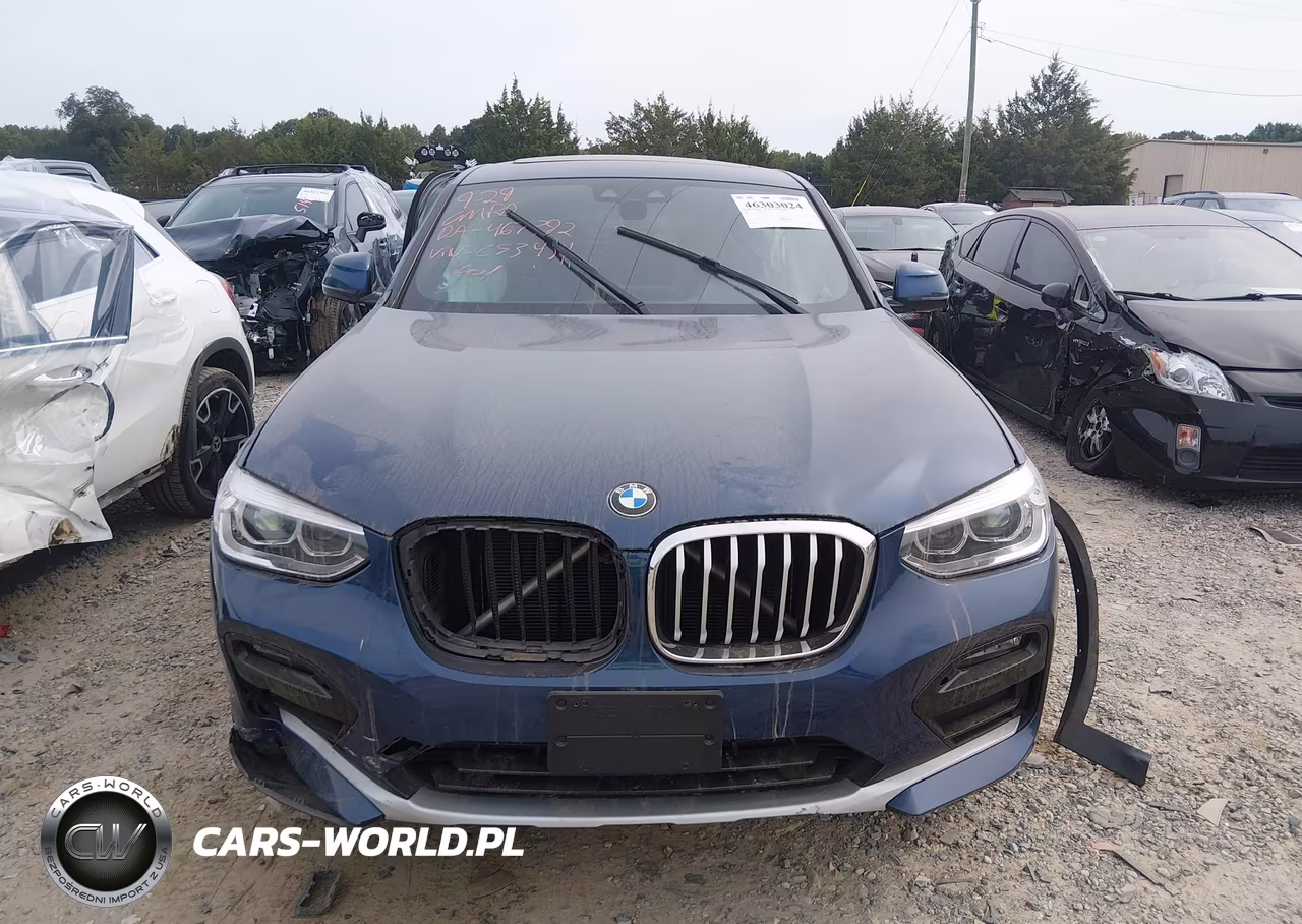 2020 BMW X4 xDrive30I VIN:5UX2V1C00L9C53431 - 12