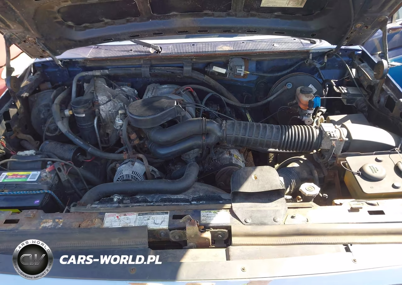 1995 Ford F150 VIN:1FTEX15N8SKA00931 - 10