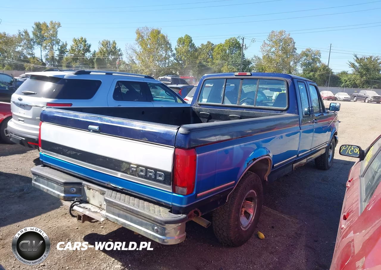 1995 Ford F150 VIN:1FTEX15N8SKA00931 - 4