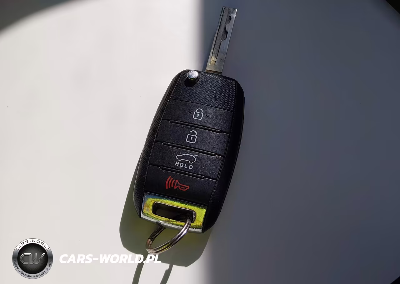 2016 Kia Sorento 3.3L Ex VIN:5XYPHDA54GG100857 - 11