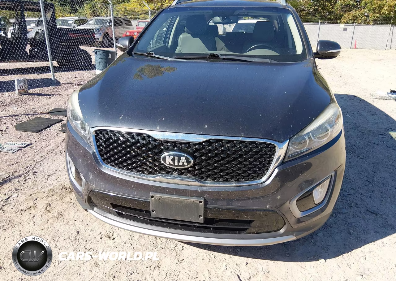 2016 Kia Sorento 3.3L Ex VIN:5XYPHDA54GG100857 - 12