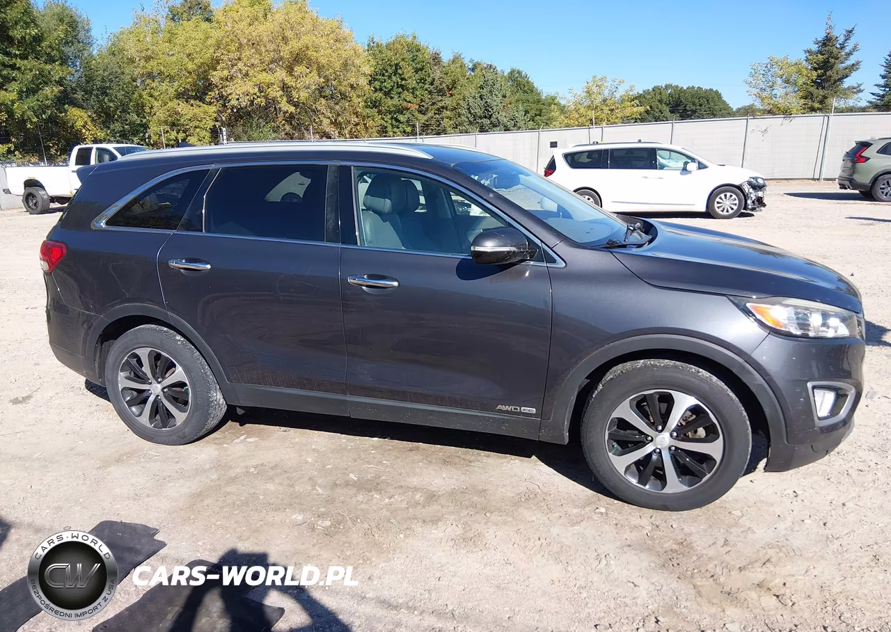 2016 Kia Sorento 3.3L Ex VIN:5XYPHDA54GG100857 - 13