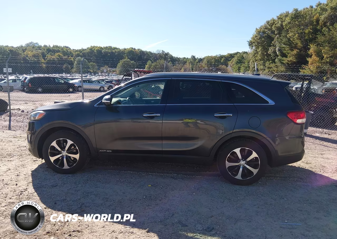 2016 Kia Sorento 3.3L Ex VIN:5XYPHDA54GG100857 - 14
